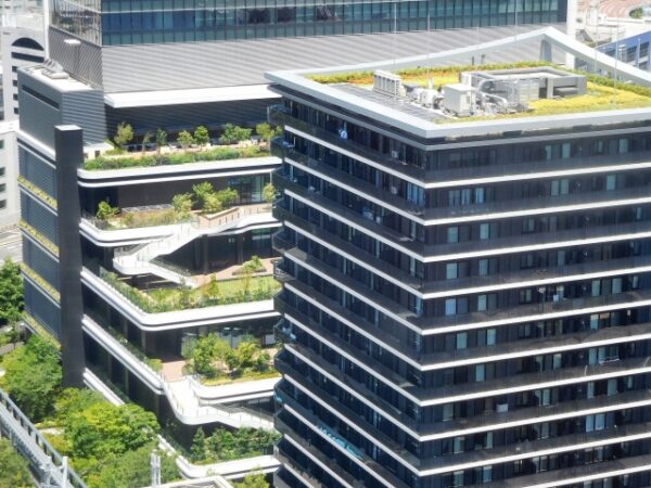 屋上緑化と防水工事の関係とは？施工前に知っておきたいポイント